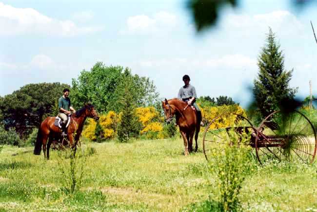 Equitazione in Agriturismo