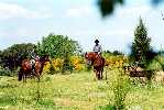 Trekking in farmholidays