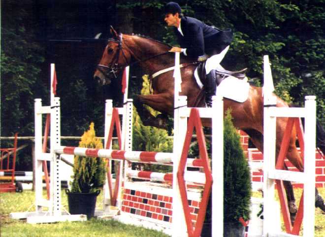 Equitazione - Viterbo (Lazio)